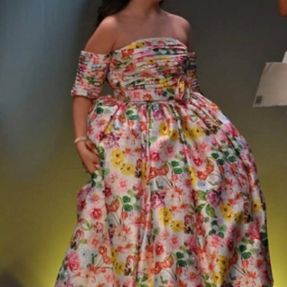 Beautiful pageant gown - Picture 4 of 4